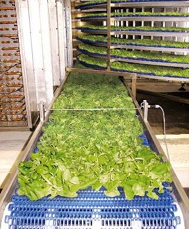 Twist cooler salad dryer tandem