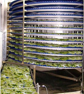 spiral salad vegetables drying equipment