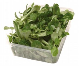 salad packaging  Salad in tab