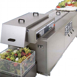 salad and vegetables washing equipment